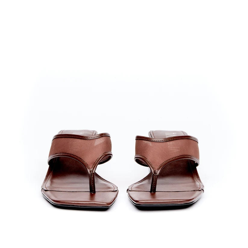 Hael & Jax Celestrial Choc