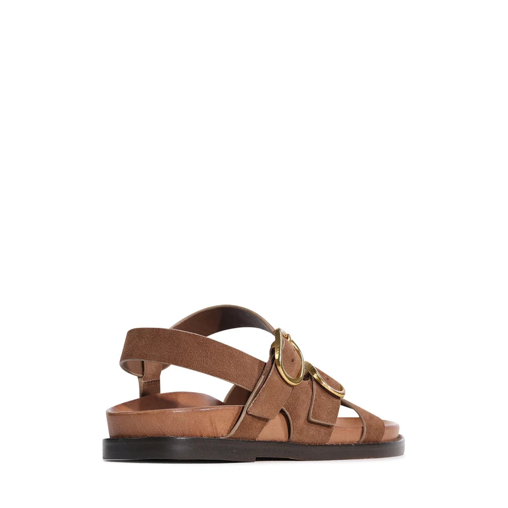 EOS Carmins Acorn Suede