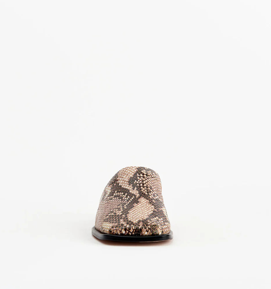 Alias Mae Jackson Sand Snake