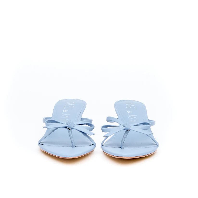 Hael & Jax Universe Cornflower