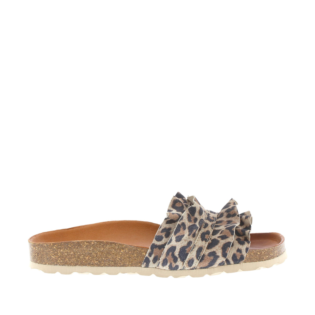 Verbenas Rocio Leopard