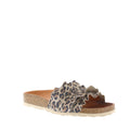 Verbenas Rocio Leopard