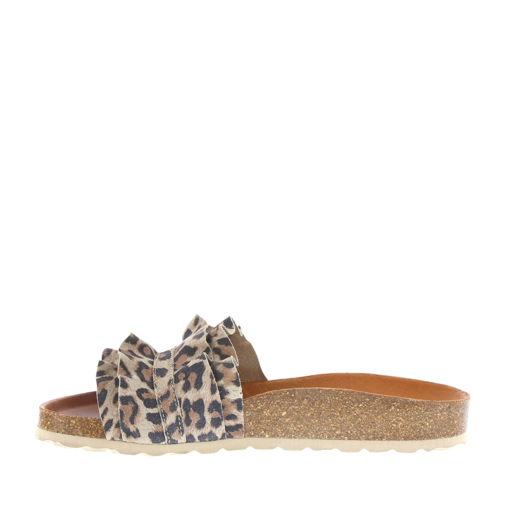 Verbenas Rocio Leopard
