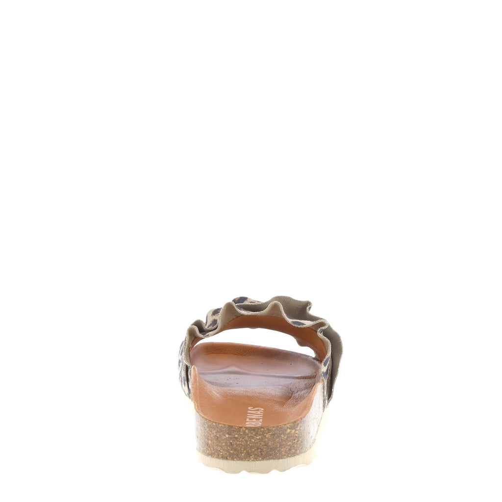 Verbenas Rocio Leopard