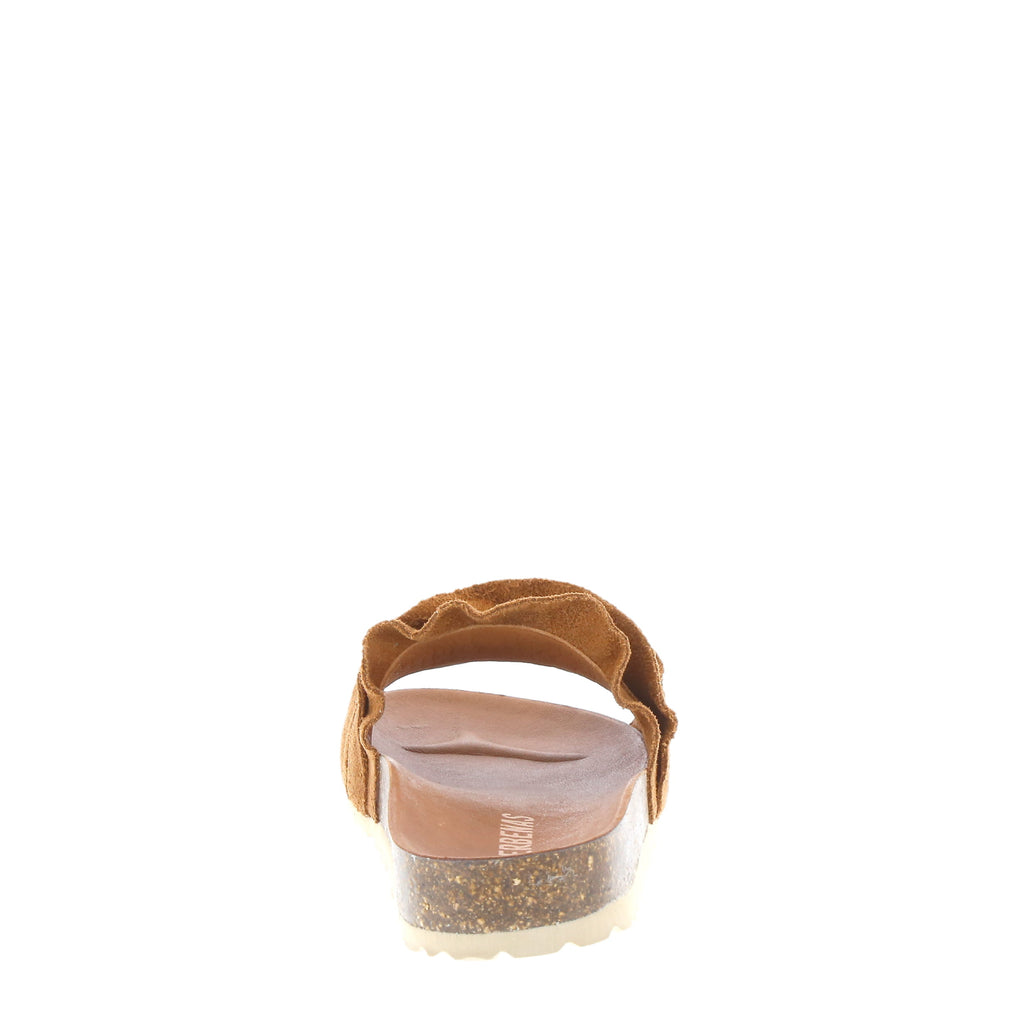 Verbenas Rocio Moccha