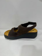 Plakton 336441 Chocolate