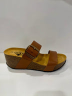 Plakton 873004 Oak
