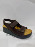 Plakton 336441 Chocolate